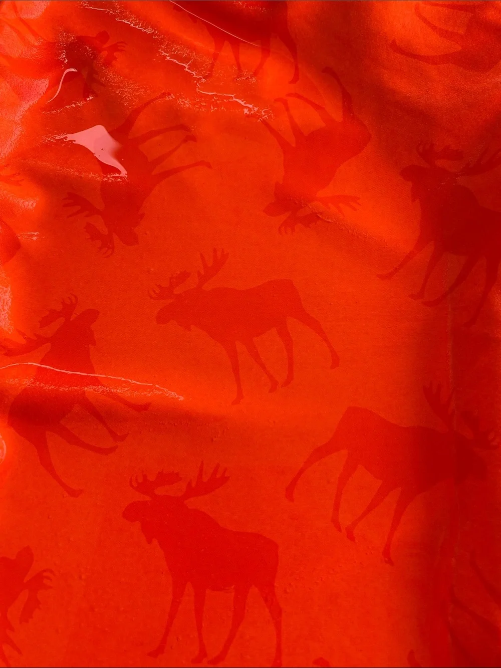 Abercrombie Kids Boys Color Changing Swim Trucks - Neon Orange w/Moose Graphic